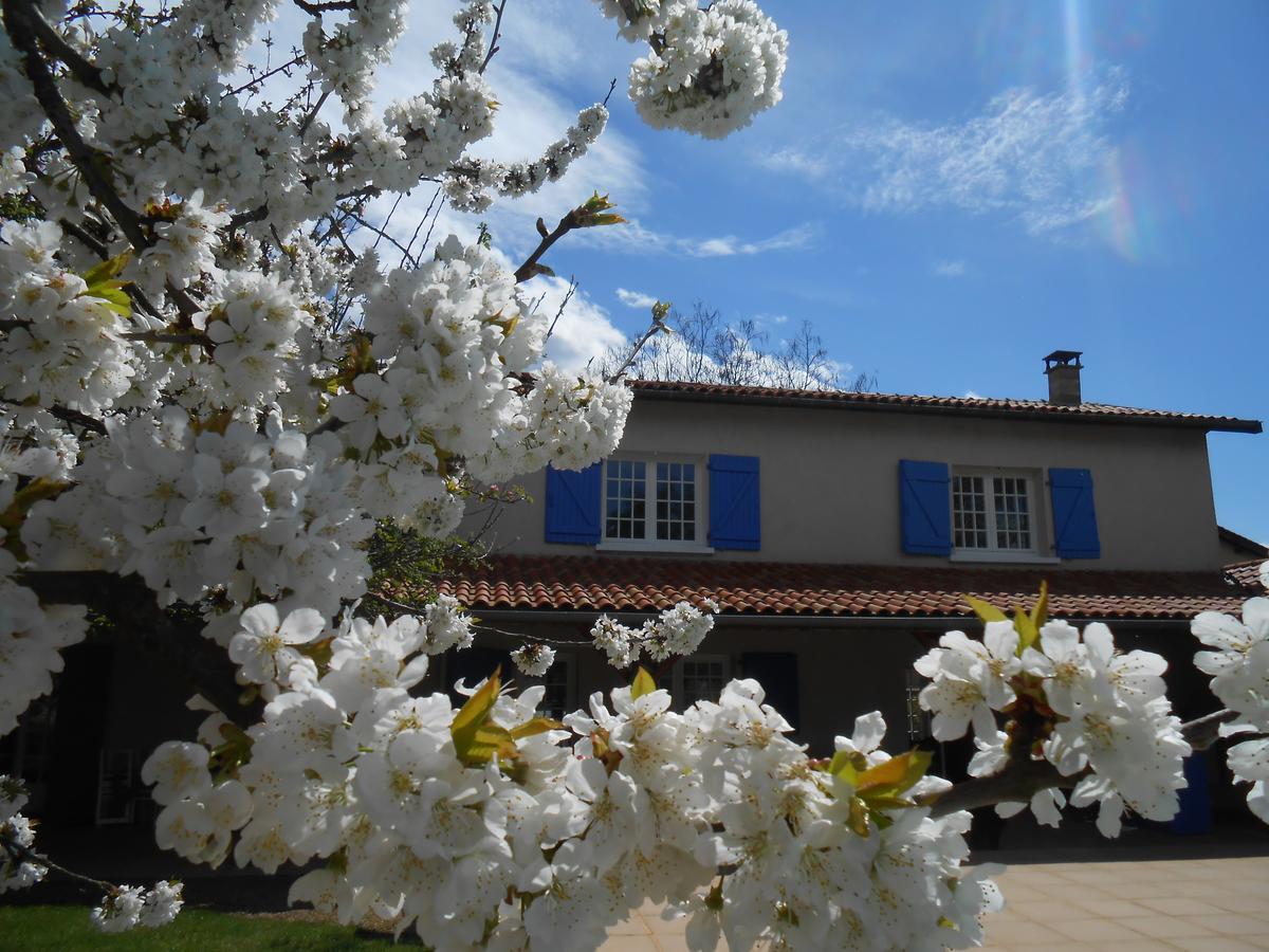 Le Relais Du Grand Logis Panzió Civrieux Kültér fotó